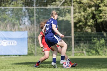 Bild 362 - wBJ Hamburger SV - Hertha BSC : Ergebnis: 5:2